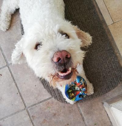 Olaf y su pelota