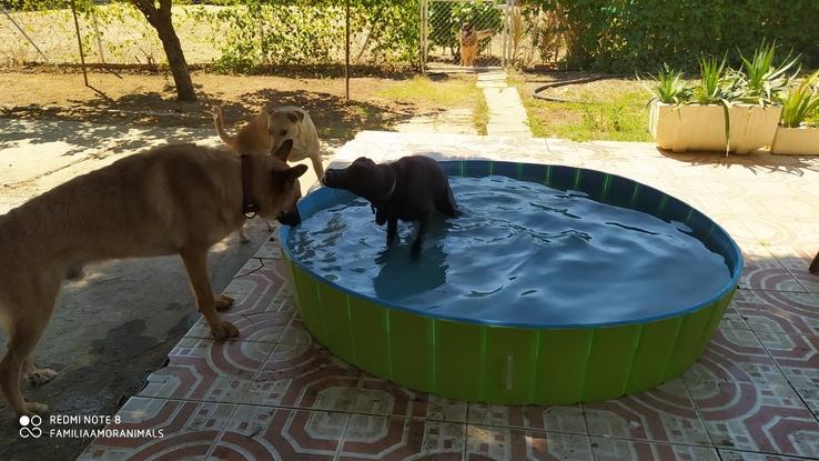 A refrescarse el culete!