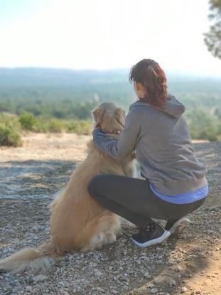 Golden de 9 años. La naturaleza es vida!