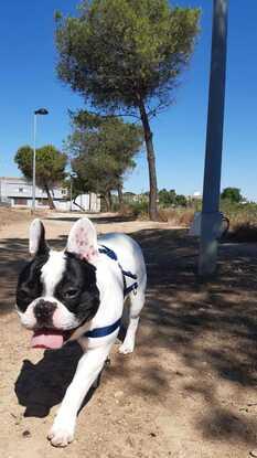 Paseando con el Fred