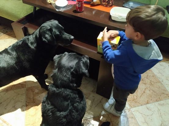 Hera, Buba y nenes...