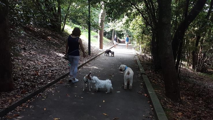 Paseando con mis amigos