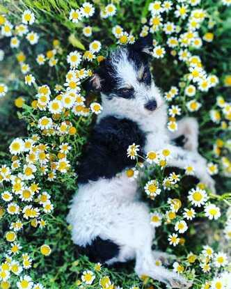 La modelo perfecta de primavera