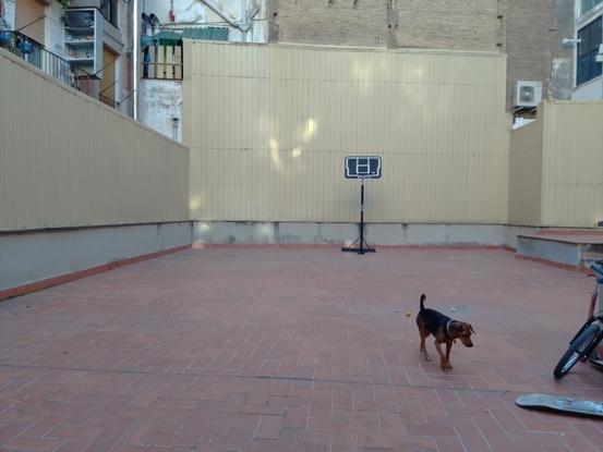 Este es el patio vallado de casa. Es de unos 100 m2