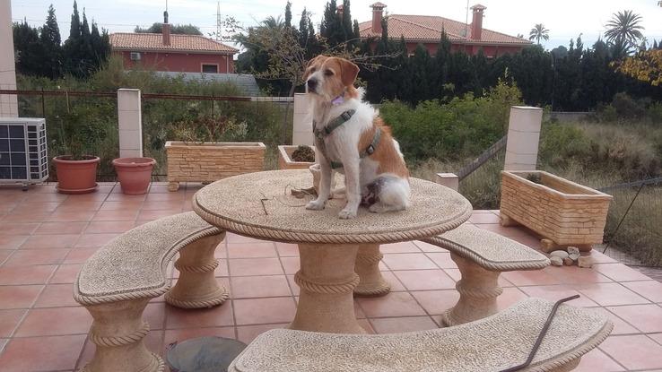 Curro