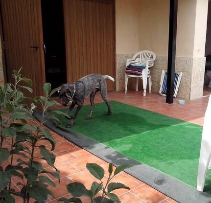 Gerónimo divirtiéndose con una pelota