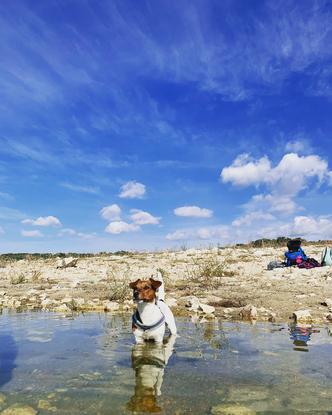 Hilda en el pantano