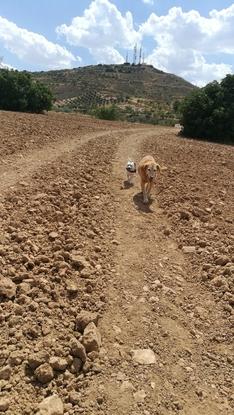 Paseo por el campo