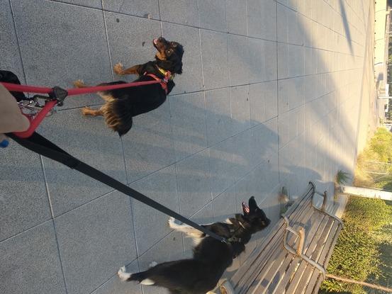 Largos paseos por la gran vía de Villaverde