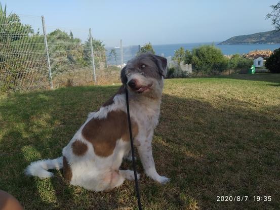 Gordi 