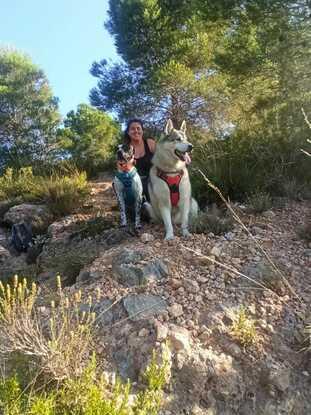 Django y Maya de paseo