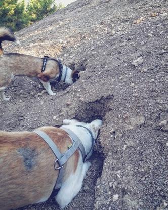 Excursión mañanera