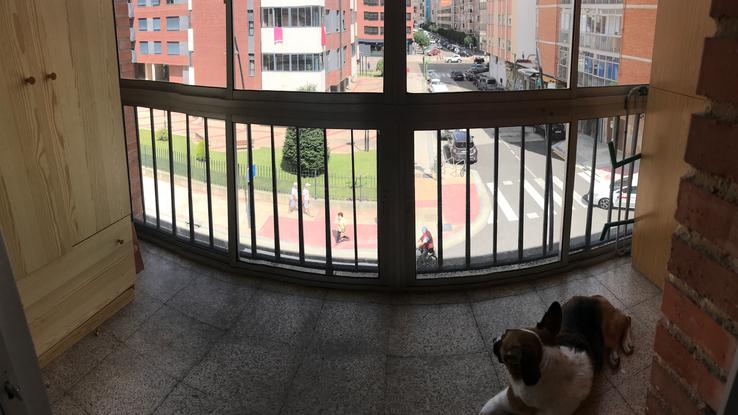 La terracita desde la que veo qué ocurre en nuestro barrio! 🕵️‍♀️🐶