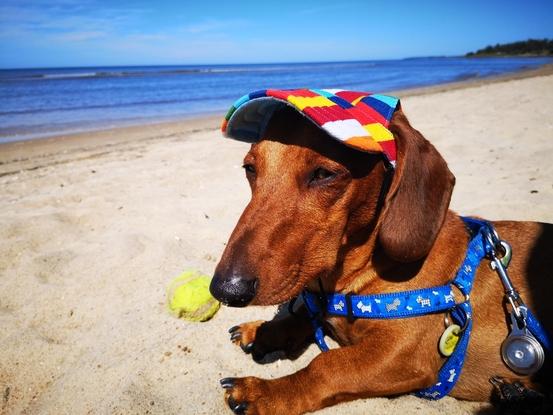 Un día de playa 🏖 