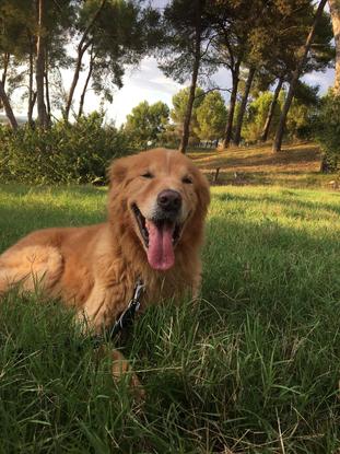 Max