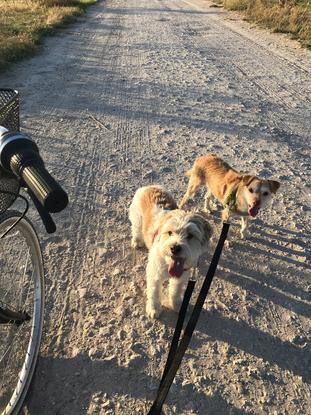 De paseo en bicicleta