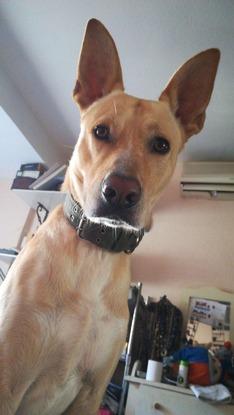 Vamos a la Calle? jeje