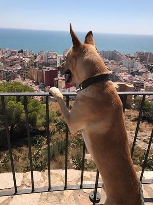 Castillo #Cullera Km's