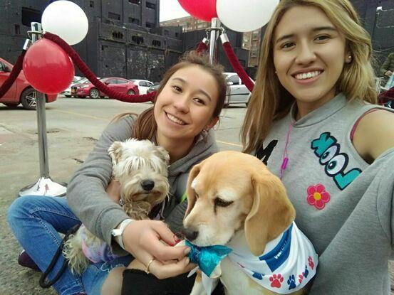 Mis perritas 🐶