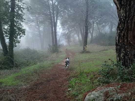 Paseos por el monte