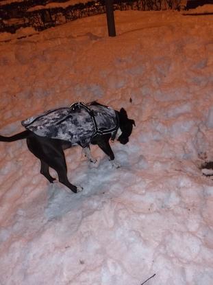 ♡♡Disfrutando de la Nieve♡♡