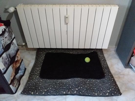 En invierno las camas las tengo debajo del radiador para que estén calentitos