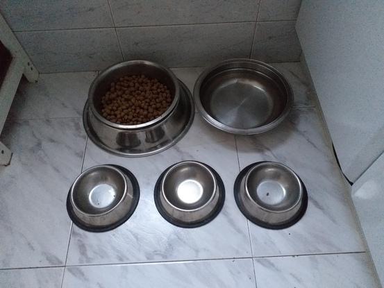 Los comederos y bebederos los tengo situados en la cocina
