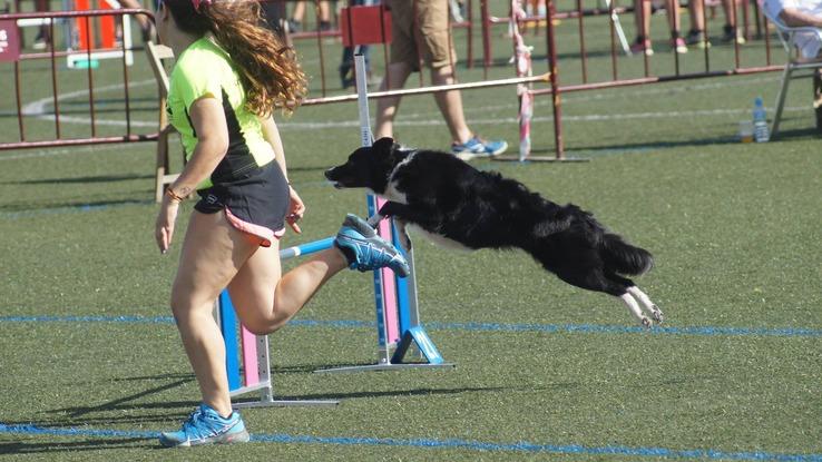 Campeonato de España