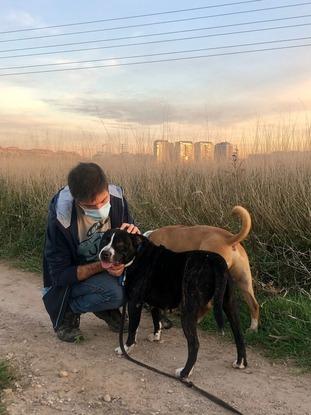 JAMÁS ENTENDERÉ POR QUÉ SE ABANDONA UN🐕🐾. MIFA Y CHOPITO