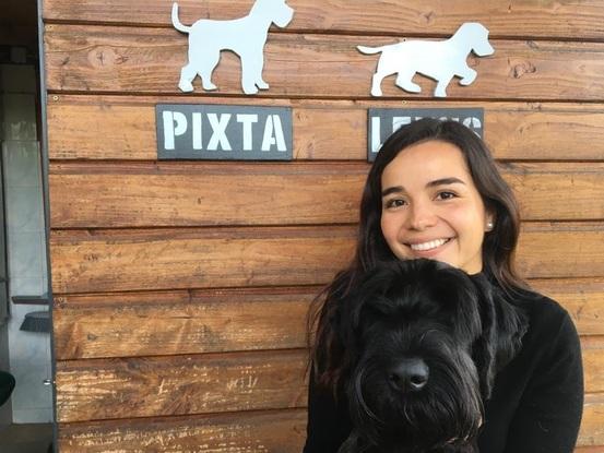 Aquí estamos con Pixta! Un schnauzer gigante! 