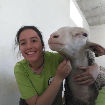 En el ciclo de ganaderia y asistencia en sanidad animal