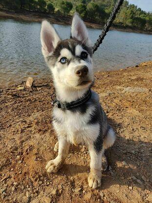 Paseo por el Rio