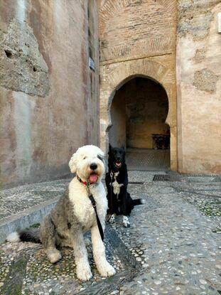 De turismo por el Albaicín