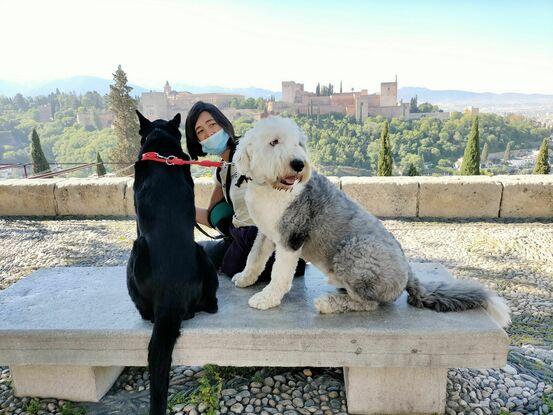 En el mirador de San Nicolás