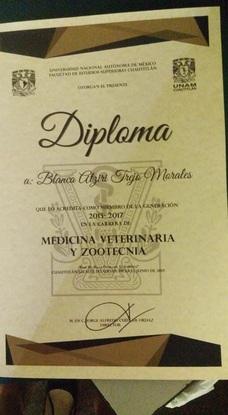Diploma