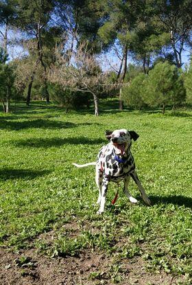 El parque debajo de mi casa