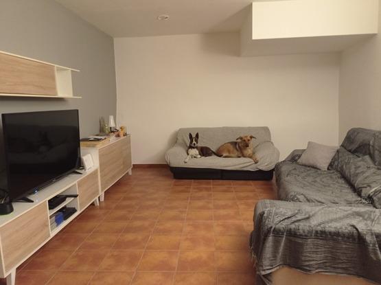 Comedor con sofá para perros, y si no caben todos ya se hacen hueco en el otro... Jajaja