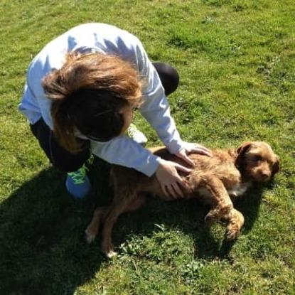 Foto con Ceci, vizsla de pelo duro al que le encantaba correr conmigo <3