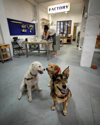 De visita a un taller con Tacon, Syd y mi Otto