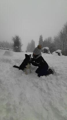 Bruce en la nieve