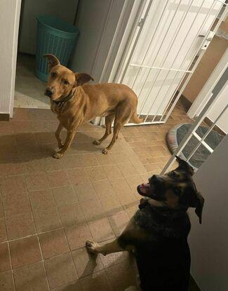 Beto y Lolo