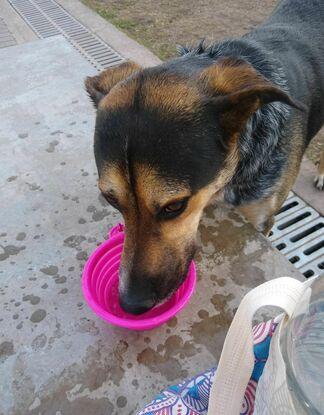Siempre llevamos agüita en los paseos!