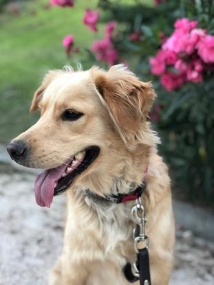 Manuela en el parque