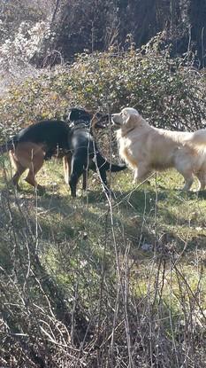 Jugando con sus amigos en una ruta por el campo.