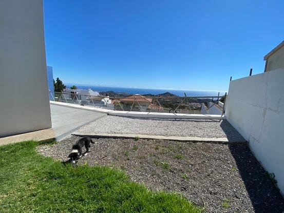 Jardín