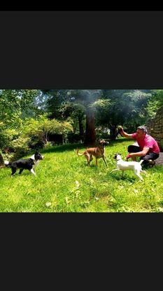 Puskas, Ira y Curra jugando de barbacoa