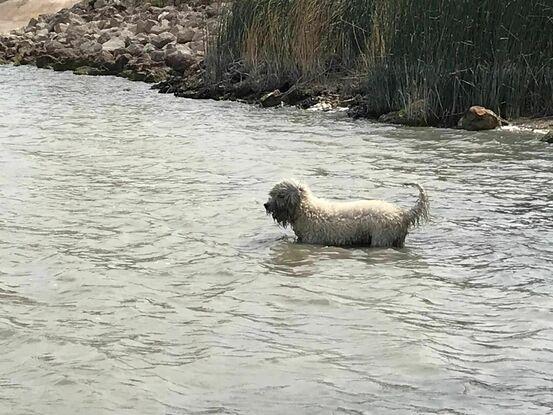 Bañito en el río