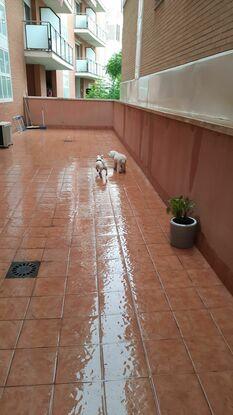 Disfrutando la lluvia en la terraza de la casa