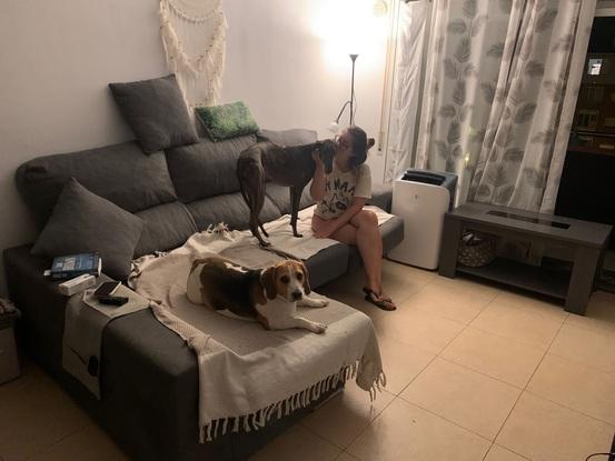 Gary y Coco