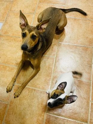 Moka y Toasty ❤️